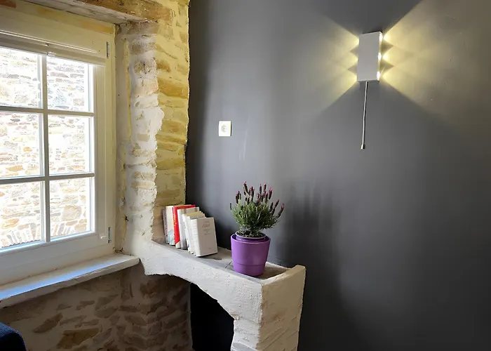 Lavande - Paradis De Provence Le Pin (Gard)